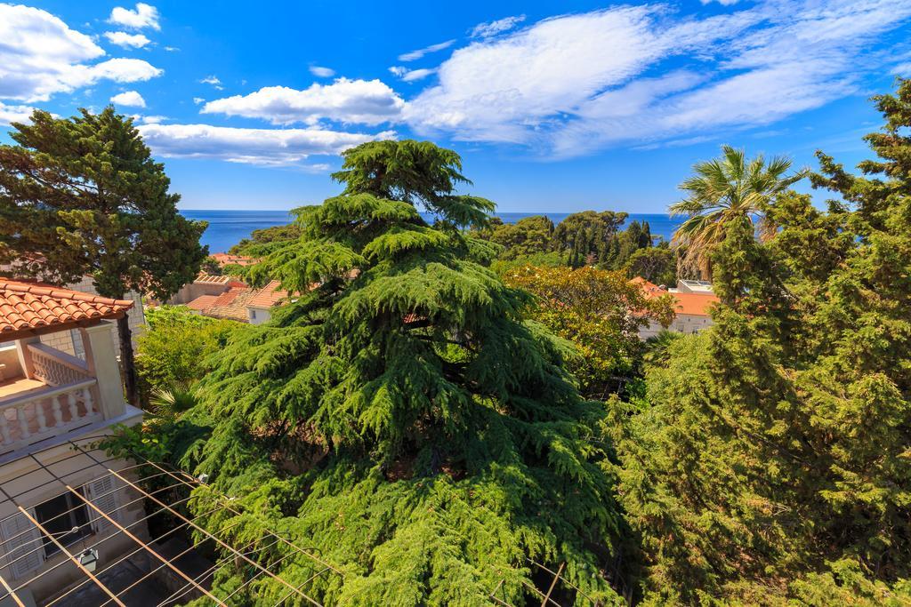 Hedera Estate, House Hedera V Vila Dubrovnik Exterior foto